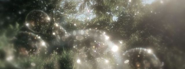 suzuha🌱⋆｡さんの壁紙画像