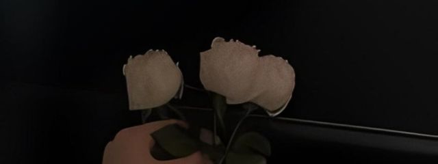 trさんの壁紙画像