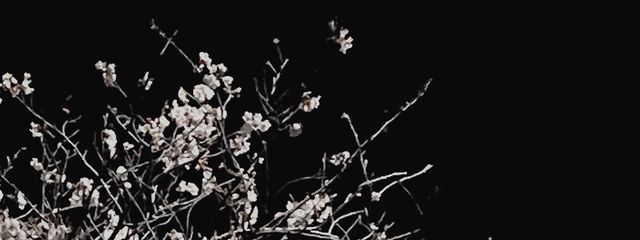 解夏 シの もうここにいないよさんの壁紙画像