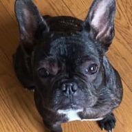 坂田銀時さんのアイコン画像