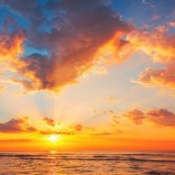 いくらねこ𓃠さんのアイコン画像