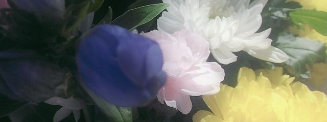 una@フォロバ１００さんの壁紙画像