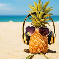 chisatoさんのアイコン画像