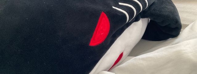 Finiさんの壁紙画像
