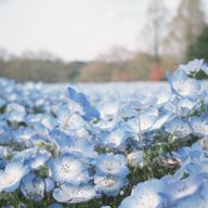 IVさんのアイコン画像