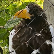 のりこさんのアイコン画像