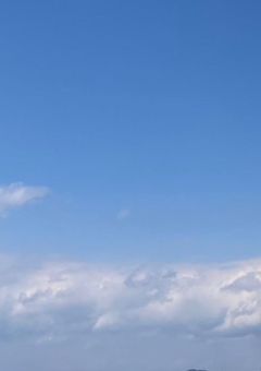愛してくださいな