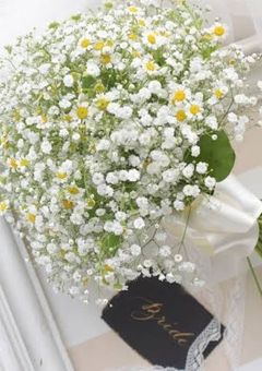 𝐇𝐞𝐚𝐯𝐞𝐧 ౨ৎ⋆ 🌙