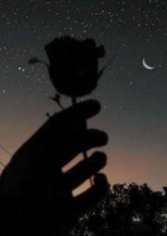 今日、好きになりました　   　    -ディズニー編-