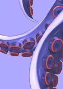  2j3j / 人外タコ、海賊に捕まった件。