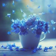 ヒバナ𖥧︎︎*@赤葦推しさんのアイコン画像