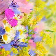 フラペチーノさんのアイコン画像