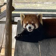 まーくんさんのアイコン画像