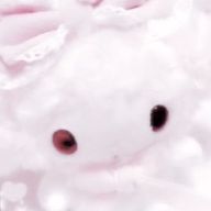 ‪‪- ·̫ -さんのアイコン画像