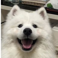 おとさんのアイコン画像