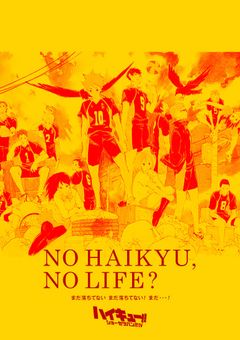 烏野のWS、チビだって