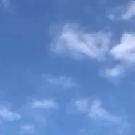 枢🌱（低浮上・たまに出てくる）さんのアイコン画像