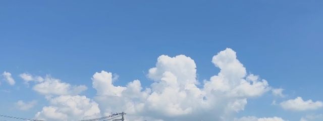 さらさんの壁紙画像