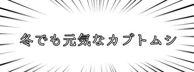 なあな329さんの壁紙画像