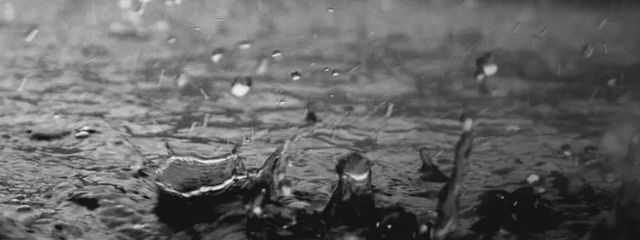 楚乃さんの壁紙画像