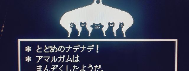 ゆう🐦💛💙 さんの壁紙画像
