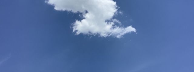 卵のゆでさんの壁紙画像