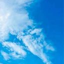 skyfly