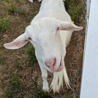 mozukuさんのアイコン画像