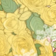 KUNIMIさんのアイコン画像