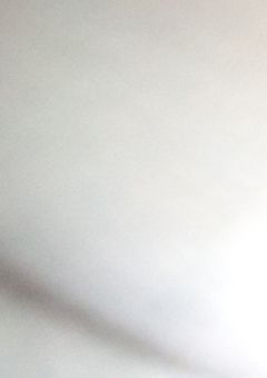 にっき(* ゚∀゚)