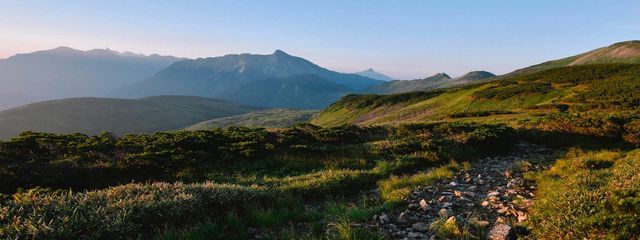 れんさんの壁紙画像