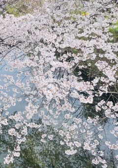 俺らの宝物2