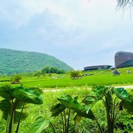 さぁーちゃん❤︎さんのアイコン画像