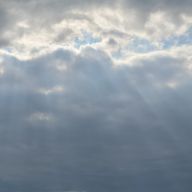 ネコガミさんのアイコン画像