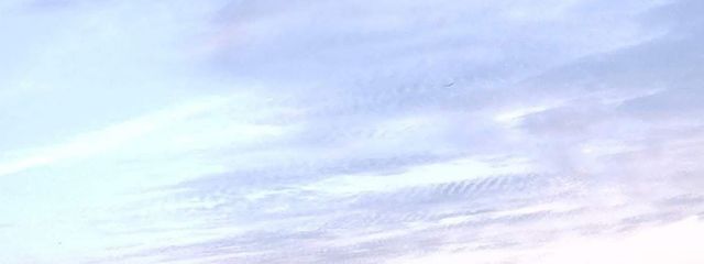 るるさんの壁紙画像