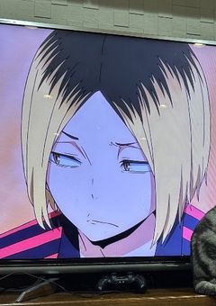 自己紹介