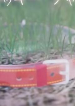 『     タコピーの原罪     』