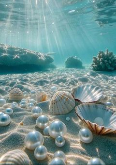 特級呪術師、弱いフリして、1年A組に侵入します！