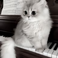 よあさんのアイコン画像