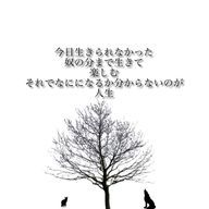 犬さんのアイコン画像