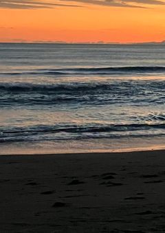 垢抜け大作戦ʕ•̫͡•