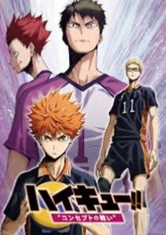 影山の双子の弟は兄が大っ嫌いなようで