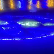 Risaaaさんのアイコン画像