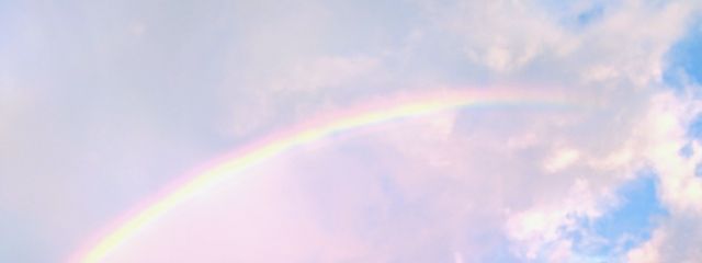 いすさんの壁紙画像