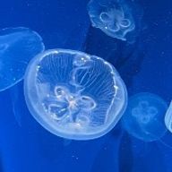 零410さんのアイコン画像