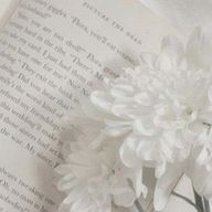 Ｍｉｒｅｉ🕊さんのアイコン画像