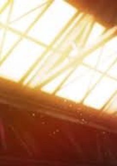 Please don't look for us.