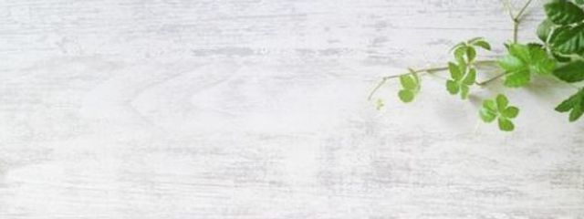 ˗ˏˋ #架音。ˎˊ˗　＠無限期間活動中止中さんの壁紙画像