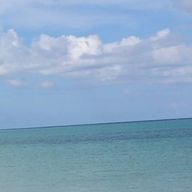 カエルさんのアイコン画像