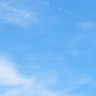 ラムネさんのアイコン画像